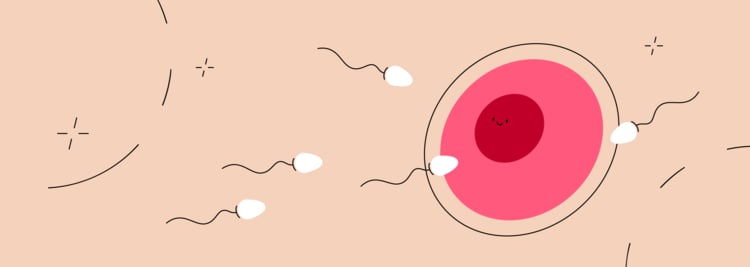 How Much Sperm Does It Take to Get Pregnant? Semen Quality Explained