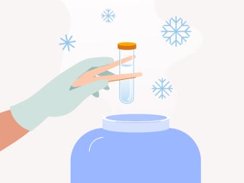 What are the differences between freezing eggs vs. embryos? What are the differences between freezing eggs vs. embryos?