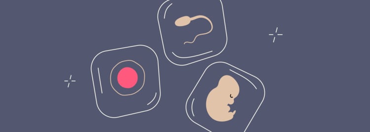 Cryopreservation: How Life-Changing Sperm, Egg, or Embryo Freezing Prolongs Fertility Cryopreservation: How Life-Changing Sperm, Egg, or Embryo Freezing Prolongs Fertility