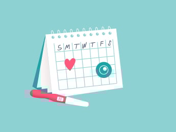 How long is pregnancy? The weeks, months, and trimesters in full-term pregnancy explained How long is pregnancy? The weeks, months, and trimesters in full-term pregnancy explained