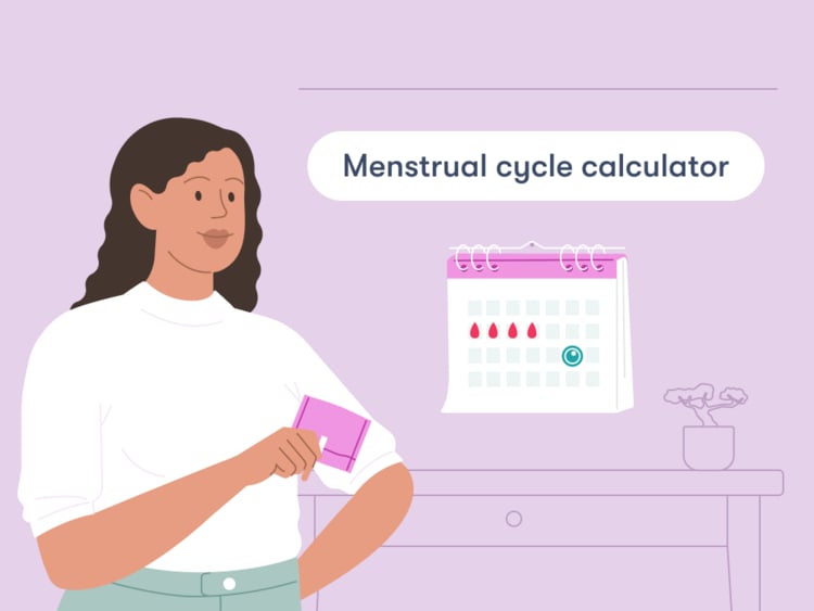 Menstrual cycle calculator