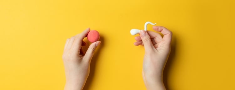 Teste de fertilidade: como escolher o indicador correto e usá-lo com o máximo de precisão Teste de fertilidade: como escolher o indicador correto e usá-lo com o máximo de precisão