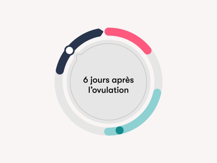 6 DPO/jours de grossesse* : y a-t-il des symptômes de grossesse à 6 jours après l’ovulation ? Interface de suivi du cycle menstruel affichant le texte « 6 jours après l’ovulation ».