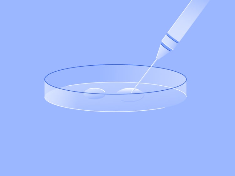 IVF twins: How common are they really? IVF twins: How common are they really?