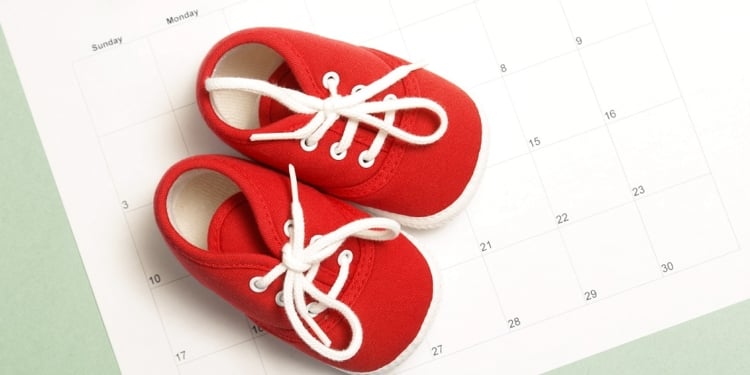 I Want to Have a Baby: Fertility Specialist Answers 5 Key Questions About Pregnancy Planning I Want to Have a Baby: Fertility Specialist Answers 5 Key Questions About Pregnancy Planning