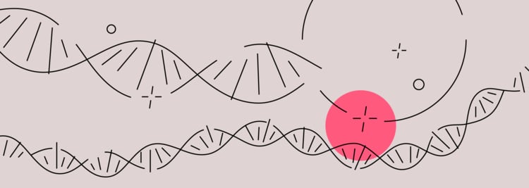 Prenatal Genetic Testing: Who May Need It and Why Prenatal Genetic Testing: Who May Need It and Why