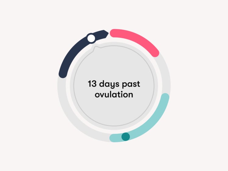 13 DPO shown on a menstrual cycle 13 DPO on a menstrual cycle