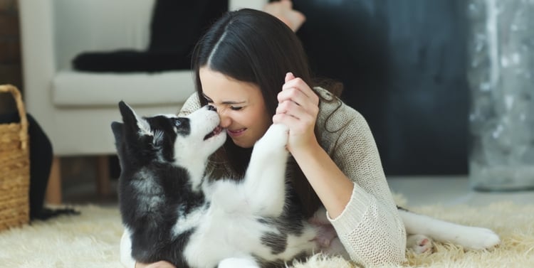 ¿Los perros sienten el embarazo en los humanos? ¿Los perros sienten el embarazo en los humanos?