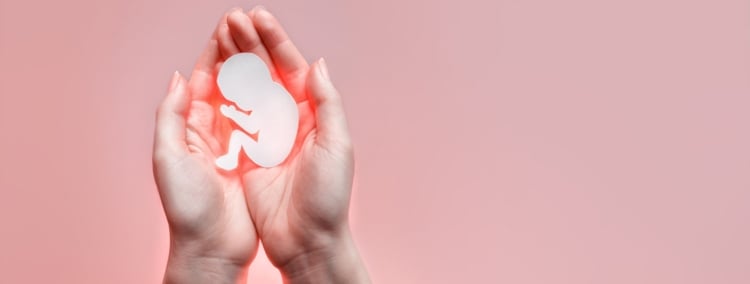 Lo que debes saber de la FIV y la transferencia de un único embrión