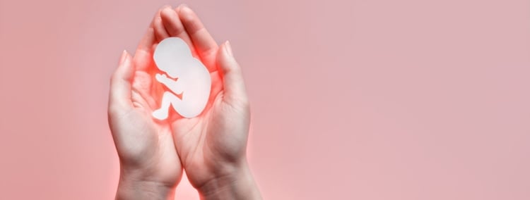 Was Du über IVF und Single-Embryo-Transfer wissen solltest Was Du über IVF und Single-Embryo-Transfer wissen solltest