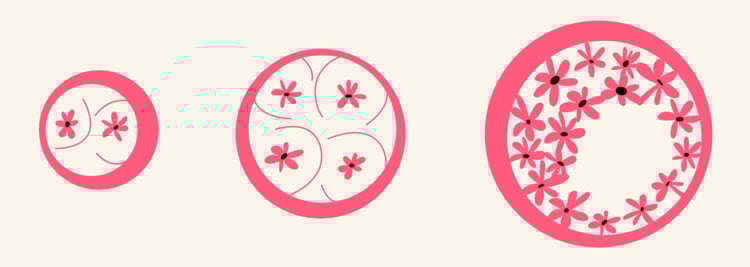 IVF Embryo Development Day by Day: Timeline with Description  IVF Embryo Development Day by Day: Timeline with Description