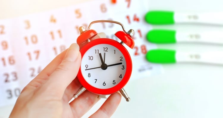Was verursacht einen verspäteten Eisprung? Wie kannst Du herausfinden, ob das bei Dir der Fall ist? Was verursacht einen verspäteten Eisprung? Wie kannst Du herausfinden, ob das bei Dir der Fall ist?