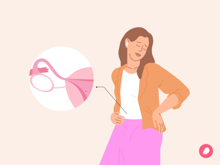 Implantation symptoms: What are the possible signs? Implantation symptoms: What are the possible signs?