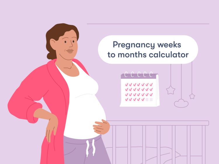 pregnancy-weeks-to-months-calculator-flo-01_1006x755 title Pregnancy weeks to months: How far along are you?