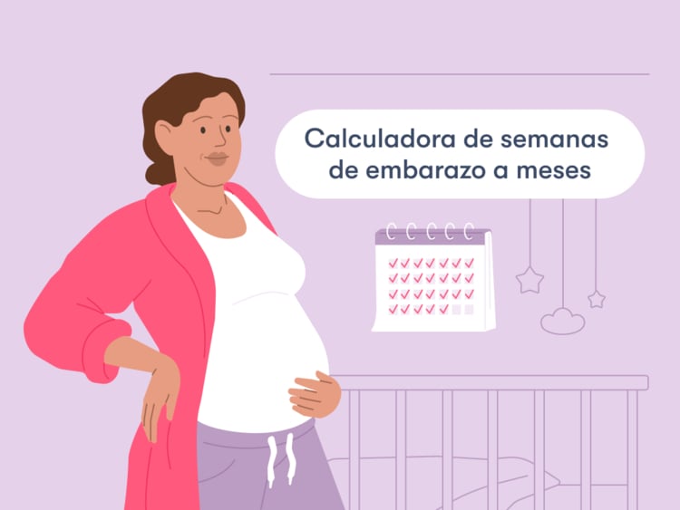 Pregnancy weeks to months calculator title Calcular semanas de embarazo a meses: ¿de cuánto estás?