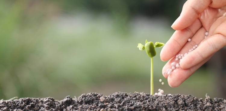Fertility and Age: How Are They Related? Fertility and Age: How Are They Related?