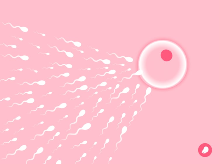 How much sperm does it take to get pregnant? How much sperm does it take to get pregnant?
