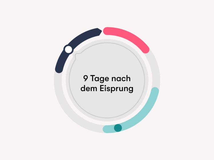 ES +9/9 Tage schwanger*: Schwangerschaftssymptome 9 Tage nach dem Eisprung? ES +9 im Menstruationszyklus