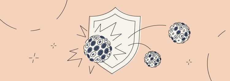 How to Prevent Human Papillomavirus: Four Key Ways How to Prevent Human Papillomavirus: Four Key Ways