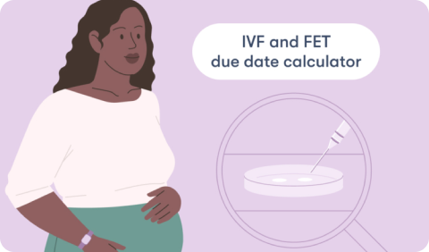 IVF and FET due date calculator