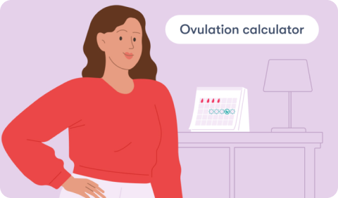 Ovulation calculator