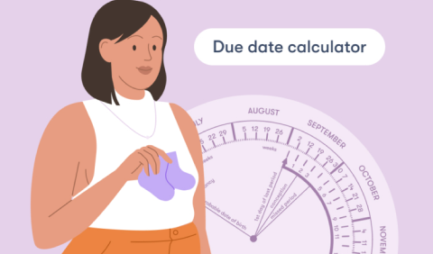 Pregnancy due date calculator