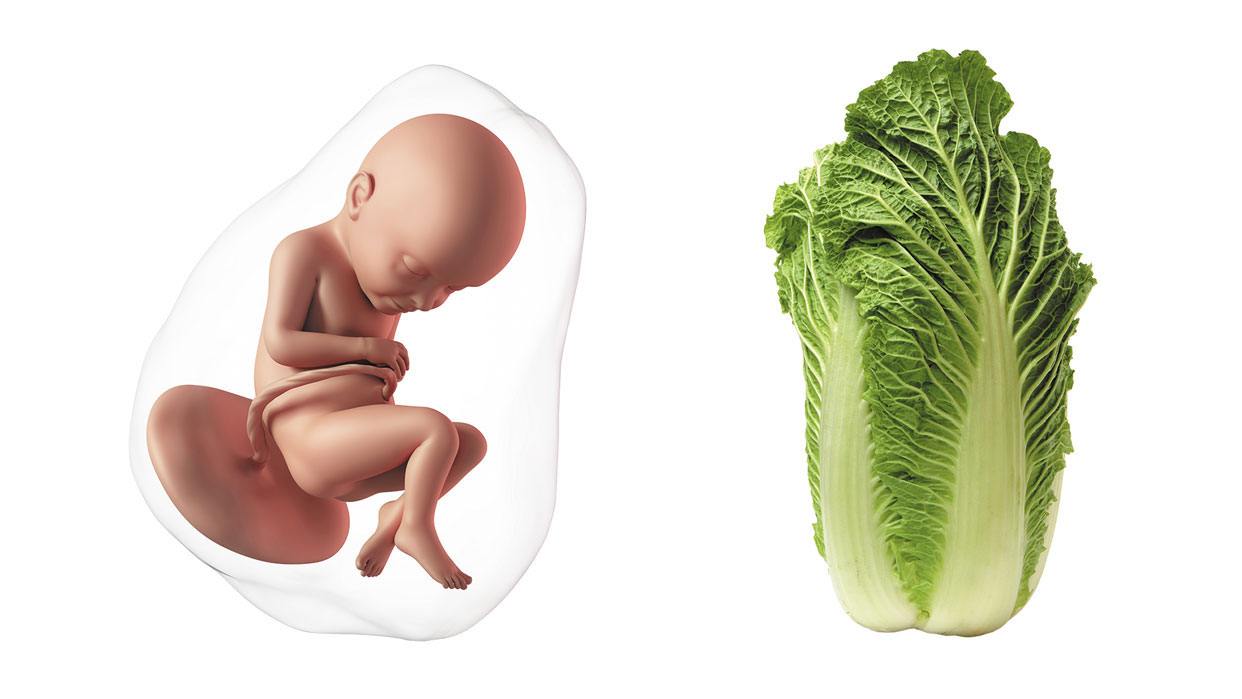 How big is a baby at 32 weeks pregnant? How big is a baby at 32 weeks pregnant?