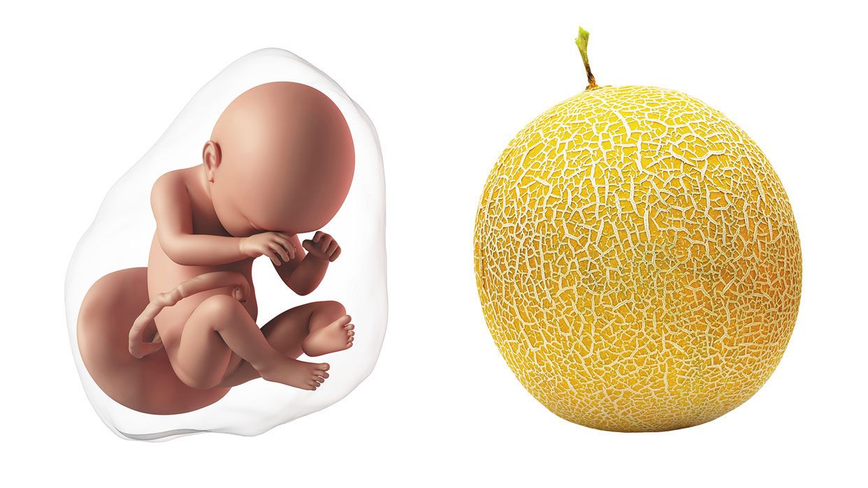 How big is a baby at pregnancy week 38? How big is a baby at pregnancy week 38?