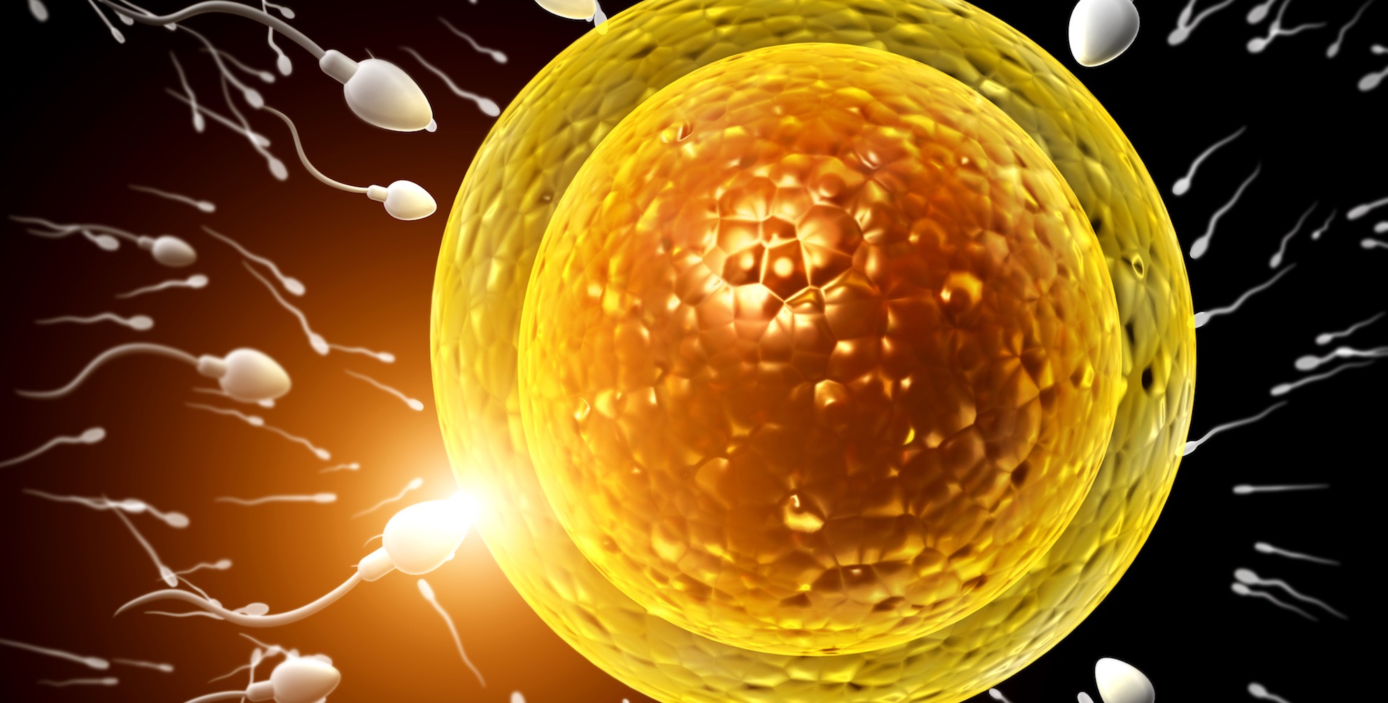 Period 15 Days Late Negative Pregnancy Test Positive Ovulation