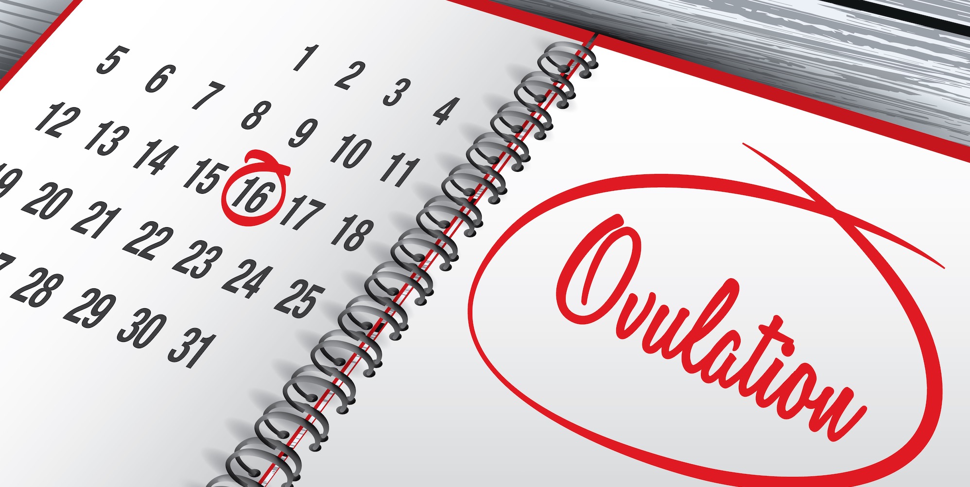 5 Common Ovulation Pains Symptoms Of Ovulation