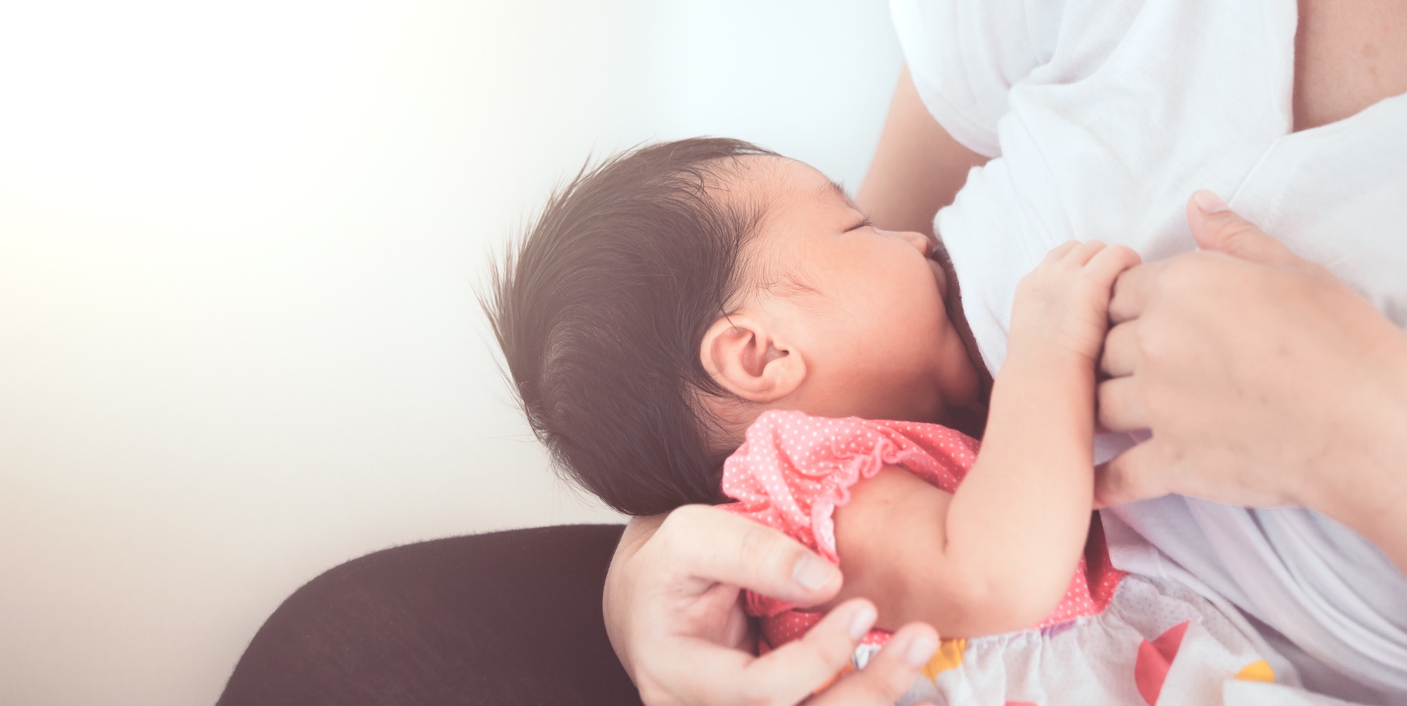 New 2pcs/lot Popular Shell Safe Nipple Shield Protector Baby Breast Milk Feeding 