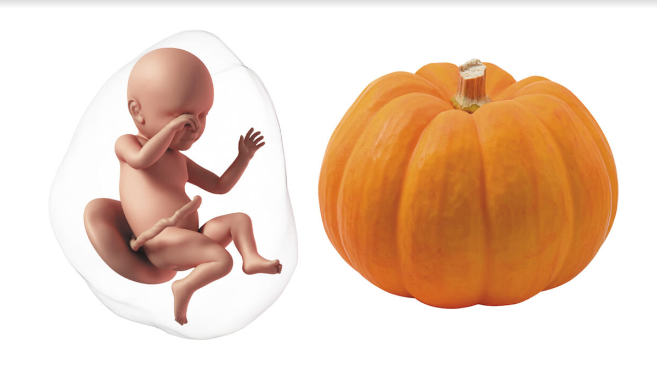 Due Date Calculator How Many Weeks Am I Pregnant