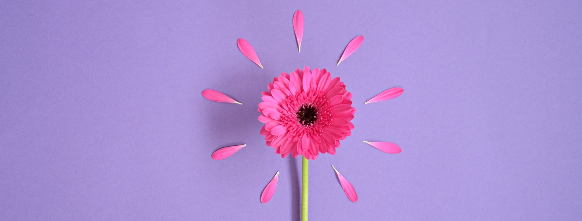 What Causes Boils In The Pubic Area Symptoms Treatment And Risk