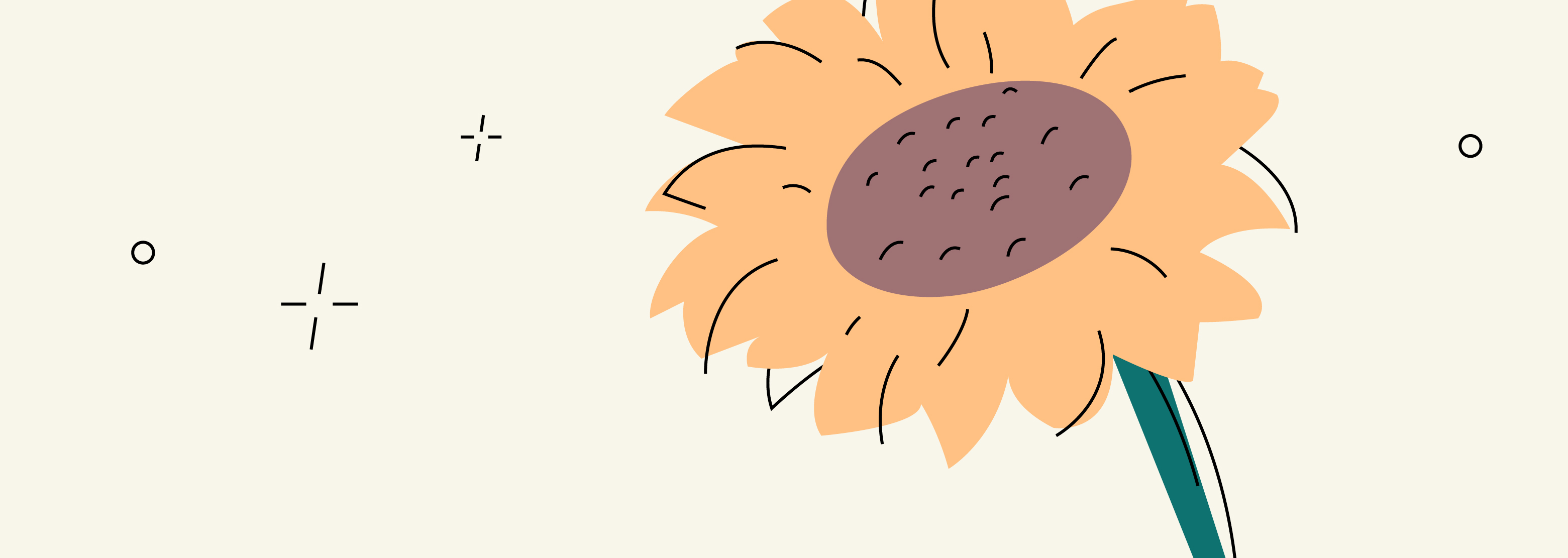 How Many Eggs Do Women Have