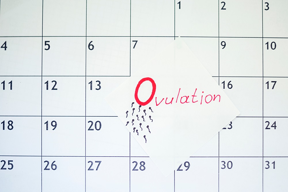 Tracking ovulation Tracking ovulation