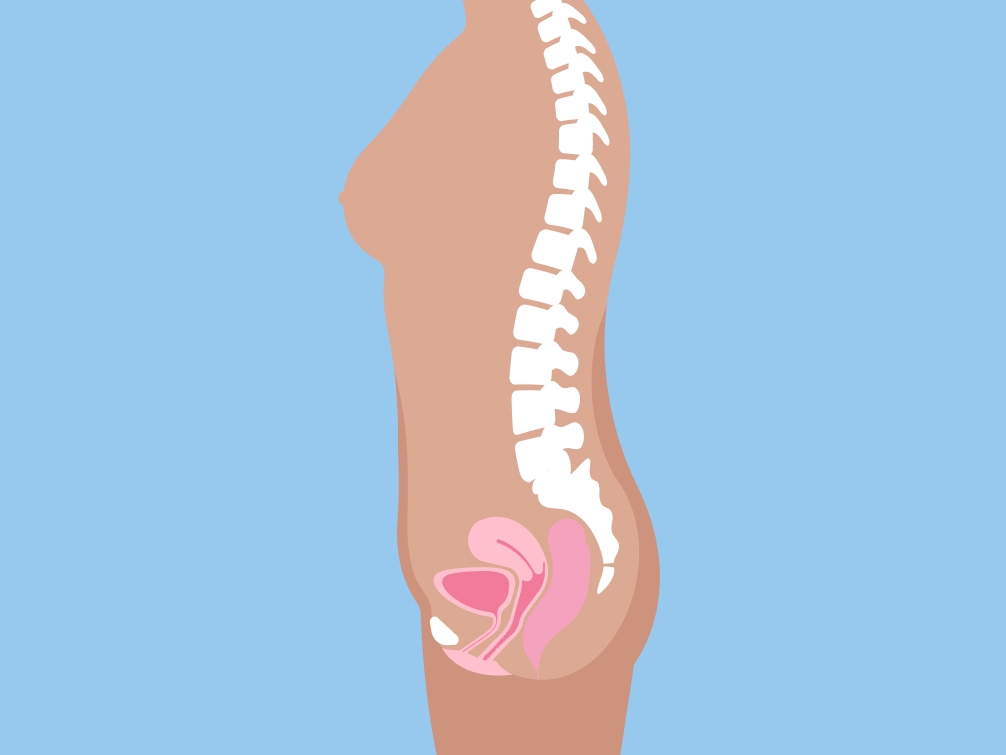 How To Find Your Cervix