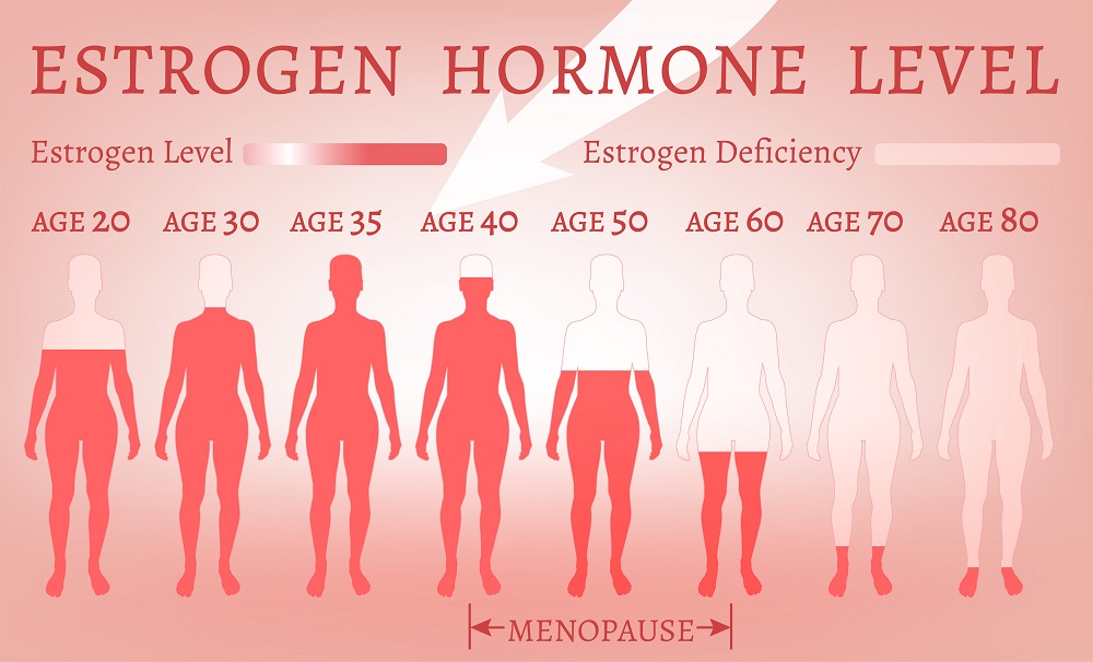 Estrogen levels in women Estrogen levels in women