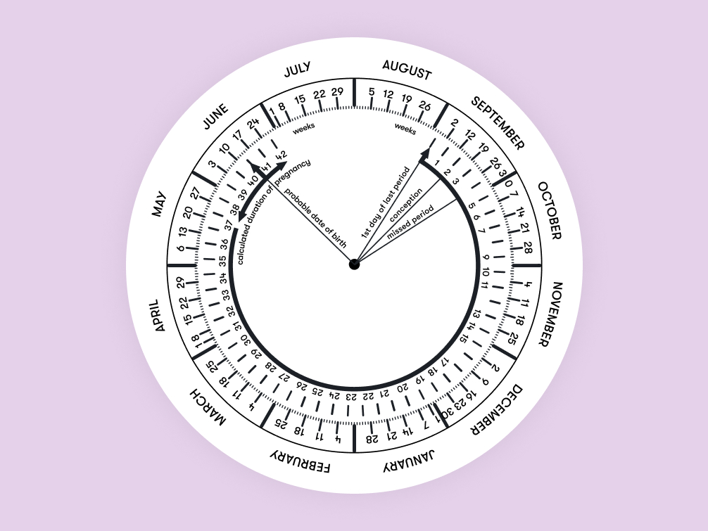 Pregnancy due date calculator Flo