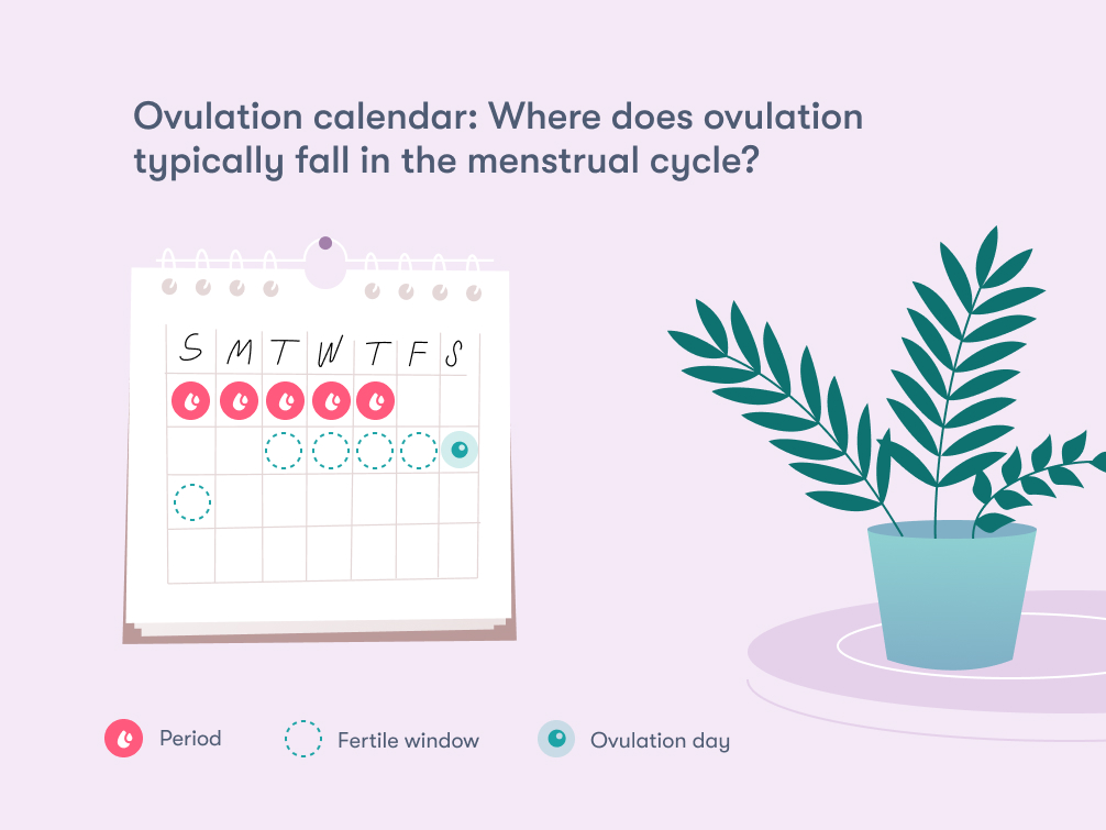 Ovulation calculator Flo Health