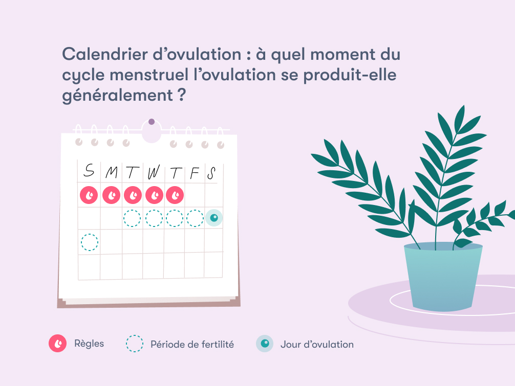 Calendrier des ovulations