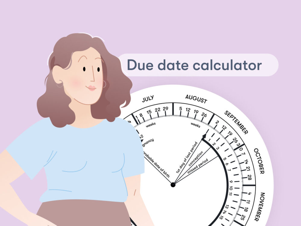 Pregnancy due date calculator Flo