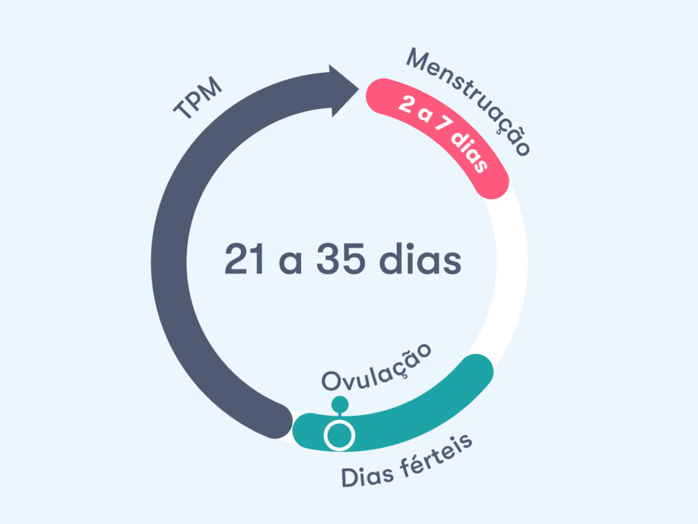 Calculadora do ciclo menstrual