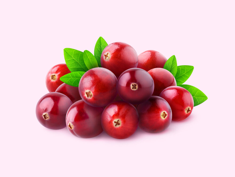 does cranberry juice help a uti