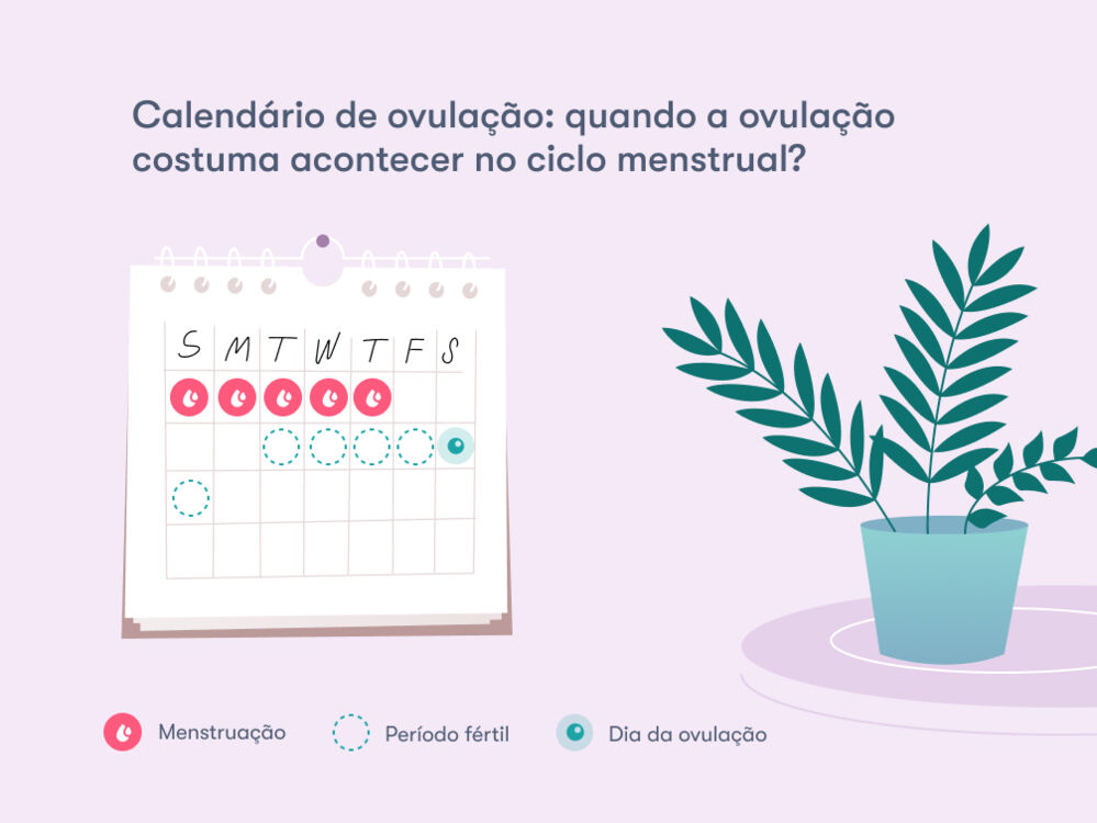Calculadora de ovulação – Flo Health