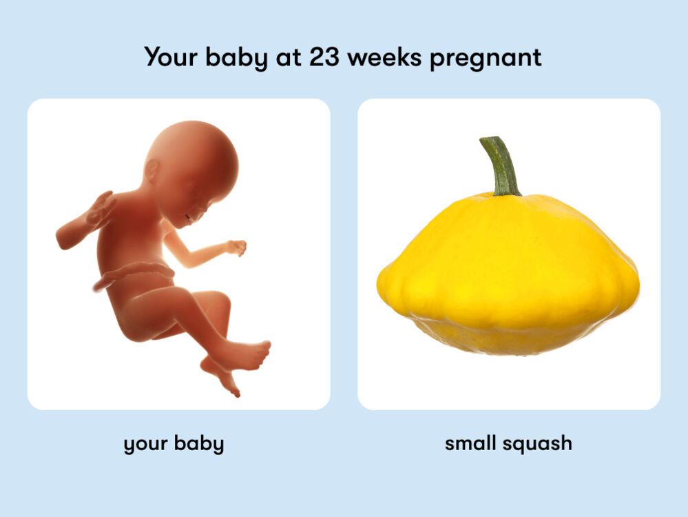 23 weeks pregnant: Symptoms, tips, and baby development