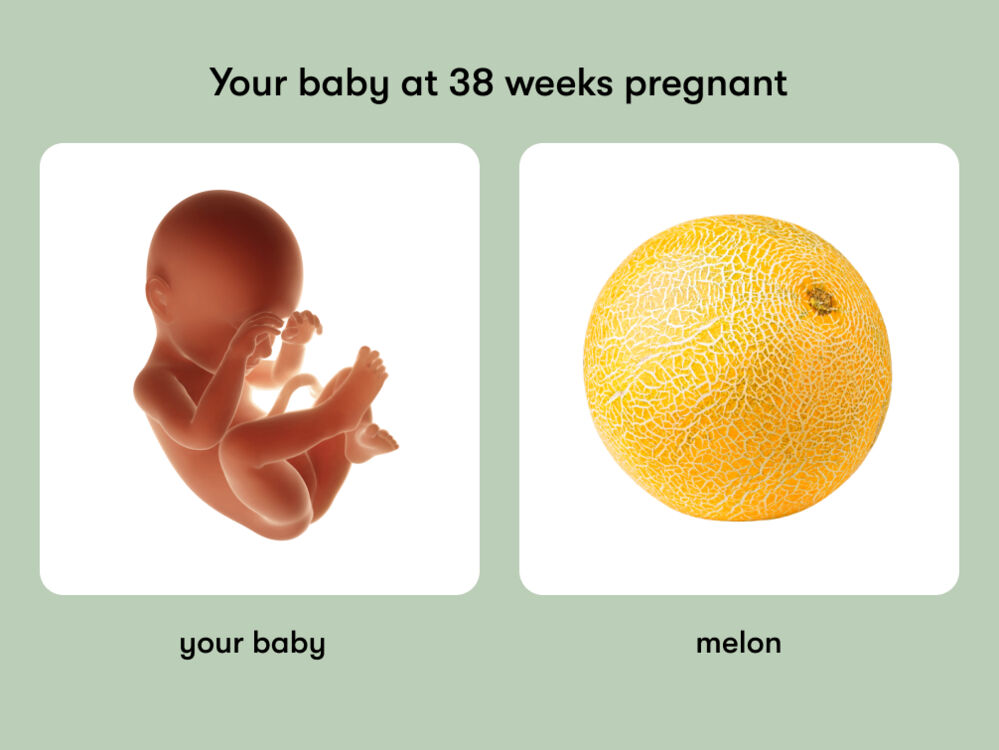 38 Weeks Pregnant: Symptoms, Size, and Development