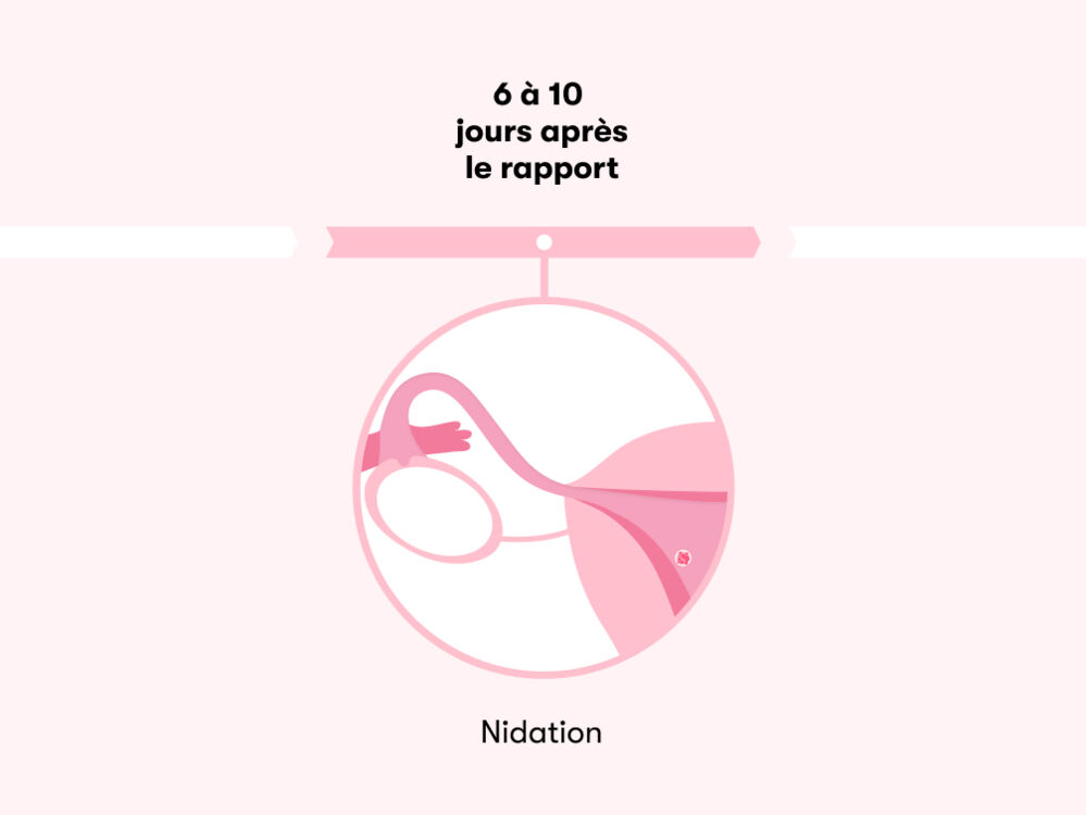 Combien de temps faut-il pour tomber enceinte