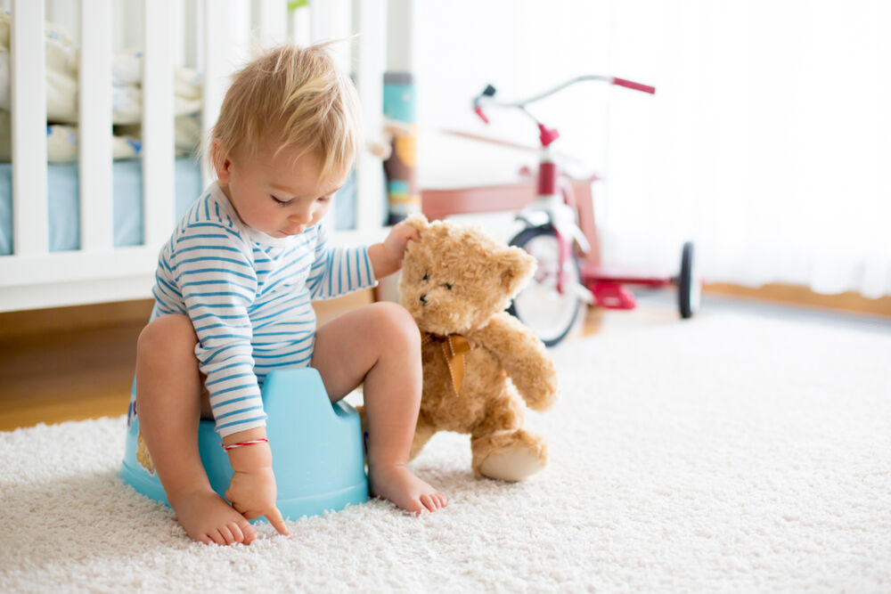 Potty training a boy