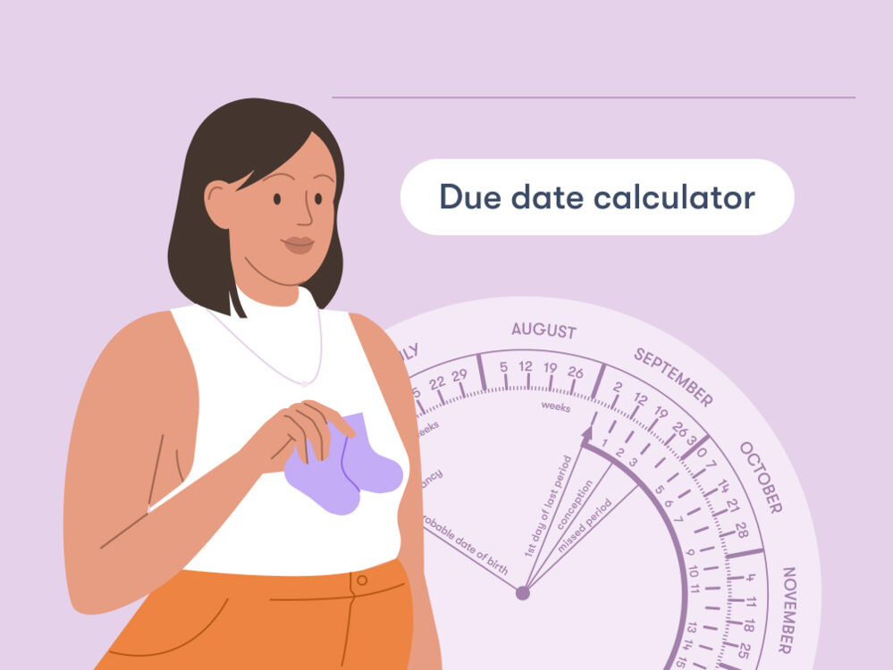 Pregnancy due date calculator - Flo