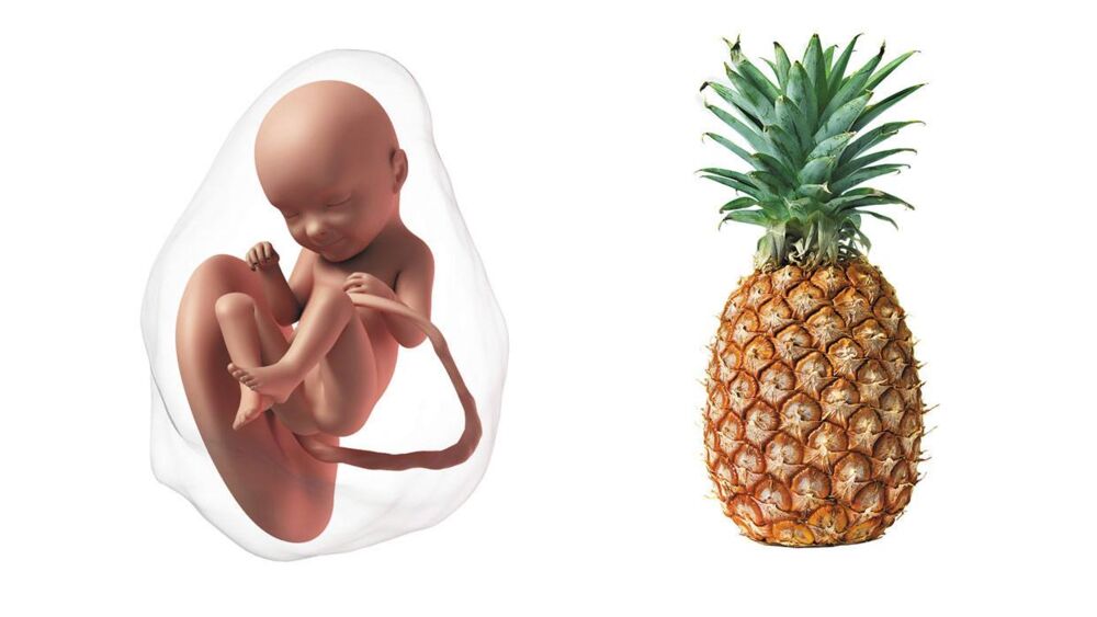 At 33 weeks pregnant, your baby is the size of a pineapple